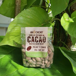 Semillas de Cacao 100g